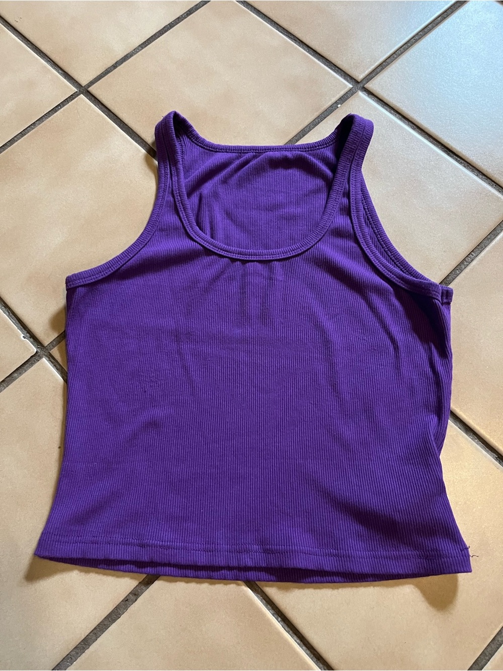 Women's Purple Ribbed Tank Crop Top
